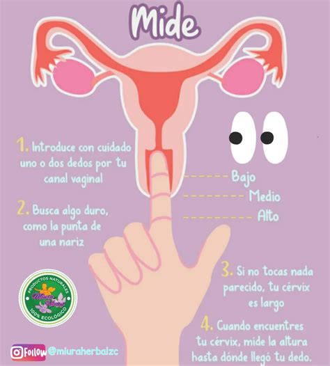 Guía completa: Cómo introducir el pene en la vagina。